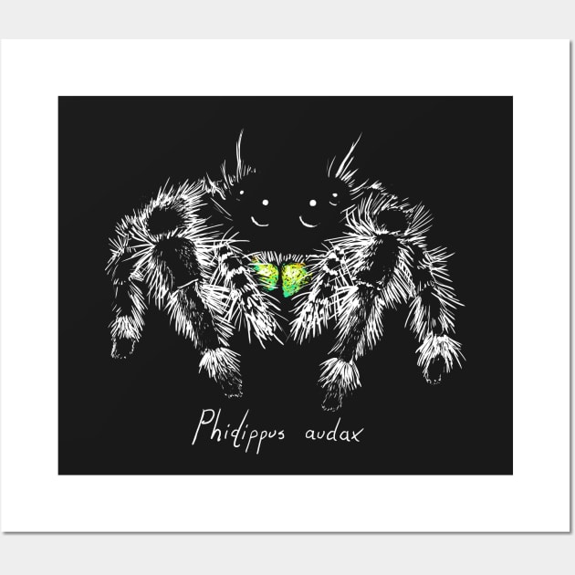 Phidippus audax Wall Art by Meganopteryx